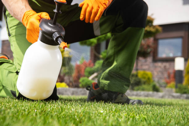 Best Affordable Pest Control Services  in Leavenworth, KS