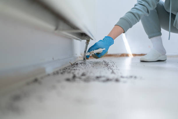 Pest Prevention Services in Leavenworth, KS